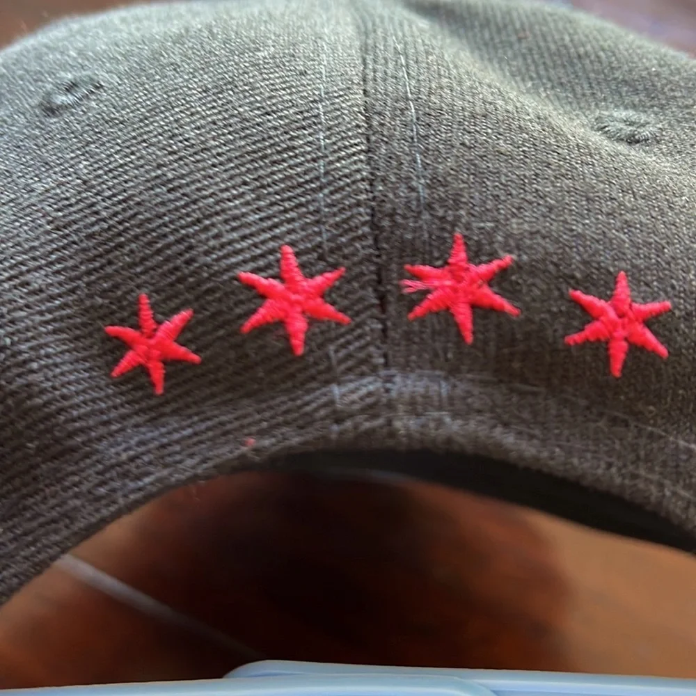 NWOT MELONWEAR Chicago Bulls SnapBack Hat - Picture 14 of 14